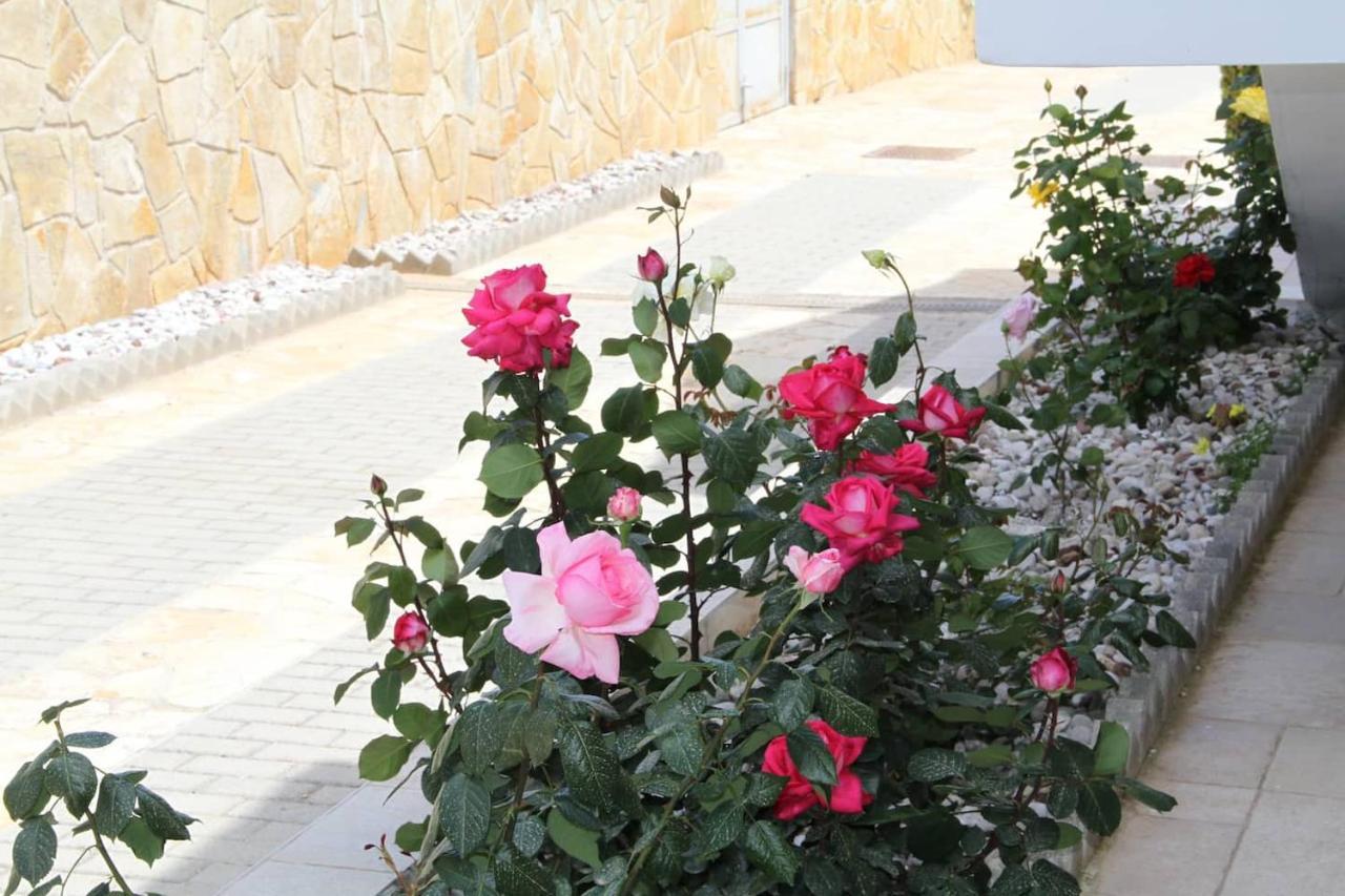 Αριων Village & Suites نافبليو المظهر الخارجي الصورة