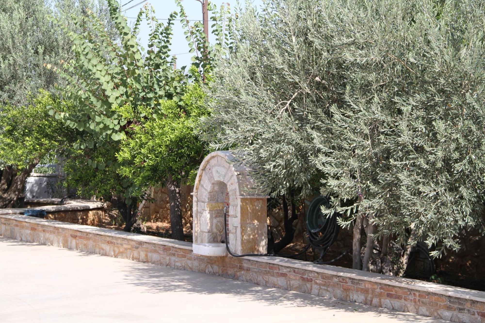 Αριων Village & Suites نافبليو المظهر الخارجي الصورة